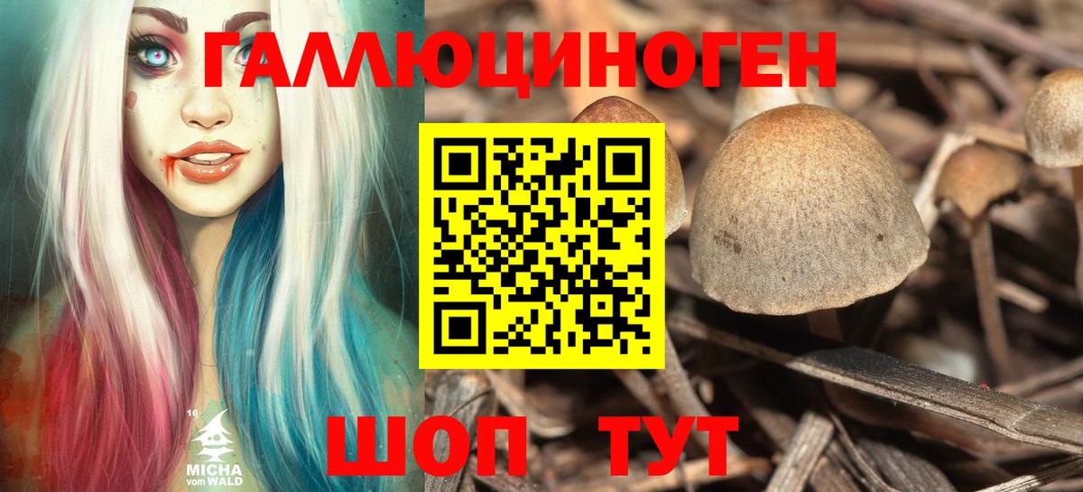 Псилоцибиновые грибы Psilocybe  Вход с VPN  Асино 